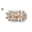 باسلوق با مغز گردو قافلانکوه 700 گرمی