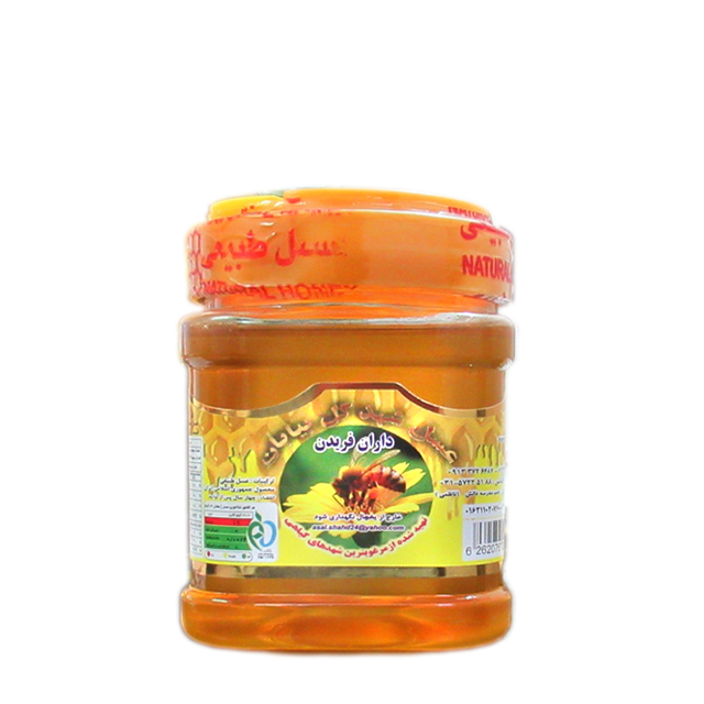 عسل چند گیاه شهد گل بیابان بدون موم 500 گرمی