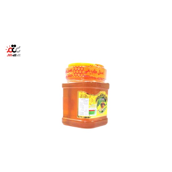 عسل طبیعی شهد گل بیابان بدون موم 500 گرمی