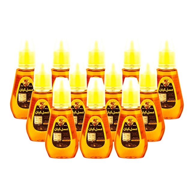 عسل چهل گیاه مخصوص پمپی کیان کوه 220 گرمی بسته 12 عددی
