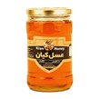 عسل چهل گیاه کیان کوه 1000 گرمی