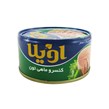 کنسرو تن ماهی در روغن با سبزیجات معطر اویلا 180 گرمی