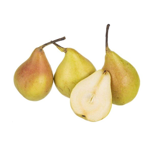 گلابی ممتاز