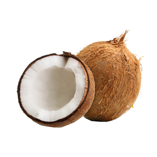 نارگیل (تحویل یک روزه)