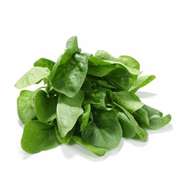 اسفناج تازه 1000 گرمی