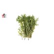 ترخون تازه - 500 گرمی