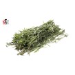 ترخون تازه - 500 گرمی