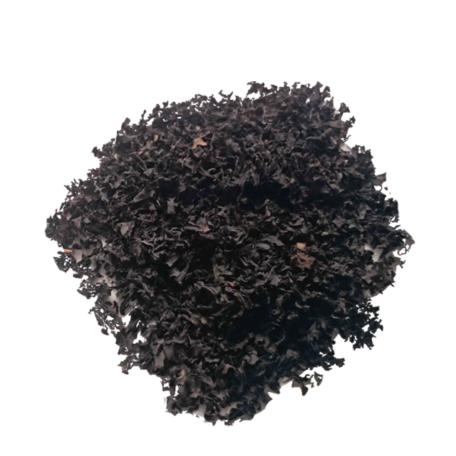 خوش طعم ترین چای ریز خاور فله