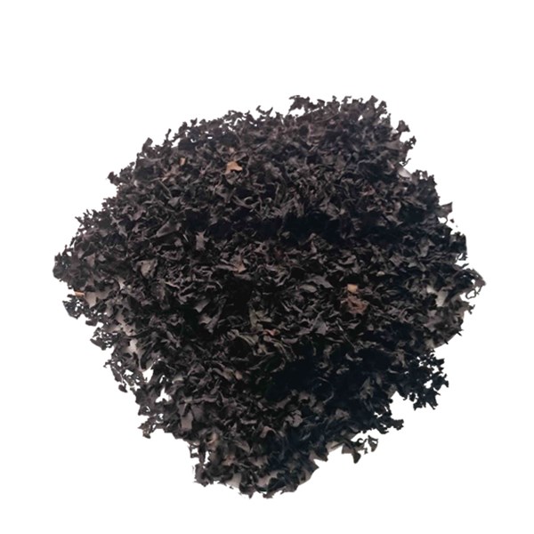 چای ریز خاور فله