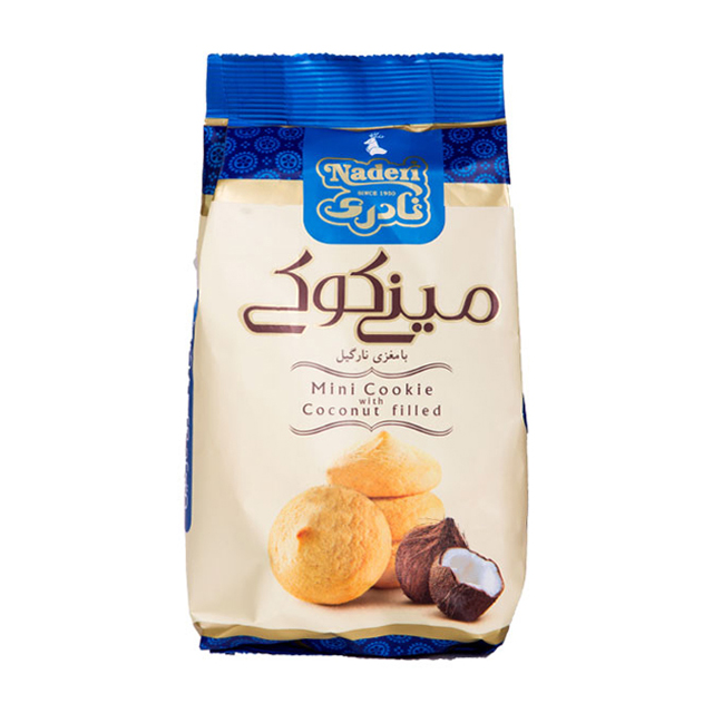 مینی کوکی نارگیلی نادری 105 گرمی