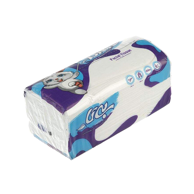 دستمال کاغذی اقتصادی بی تا 250 برگ دولا