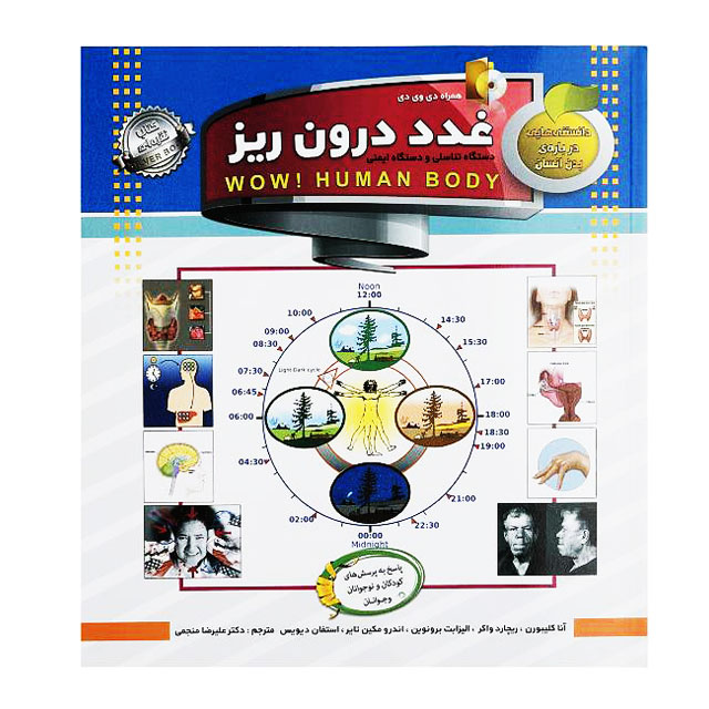 کتاب دانستنی هایی درباره انسان مدل غدد درون ریز کد 700