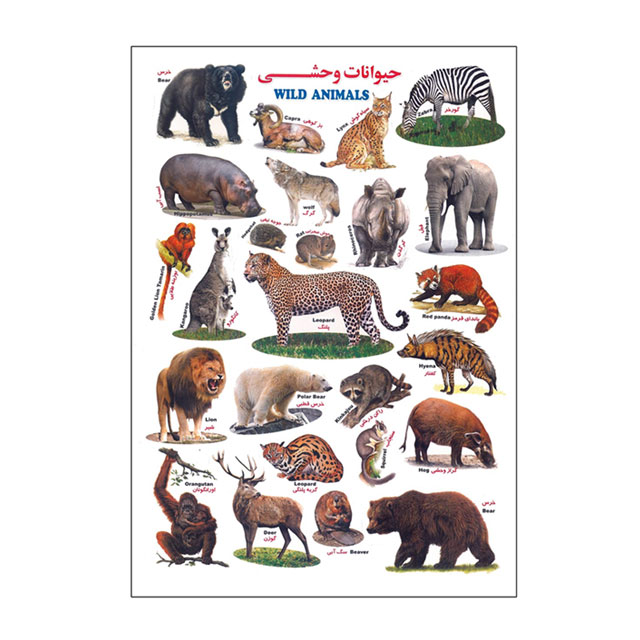 برچسب کودک آموزشی طرح حیوانات وحشی سایز A4  کد 49