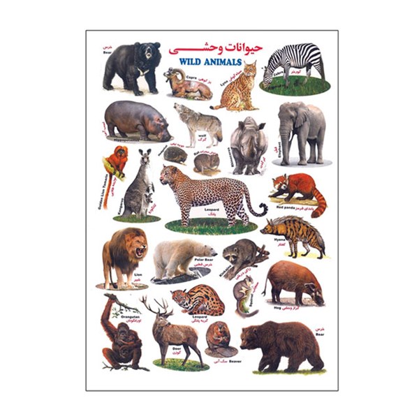 برچسب کودک آموزشی طرح حیوانات وحشی سایز A4 کد 49