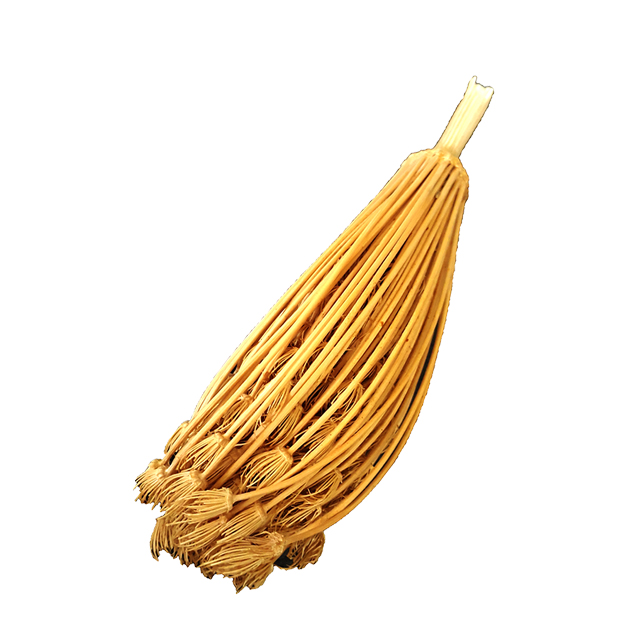 خلال دندان گیاهی کد 01 بسته یک عددی