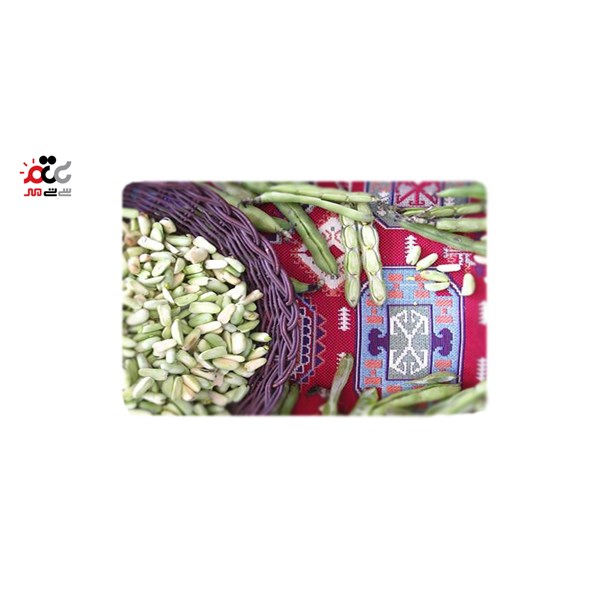 باقلا منجمد برگ سبز  1000 گرمی 