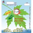 لوبیا سبز برگ سبز 1000 گرمی