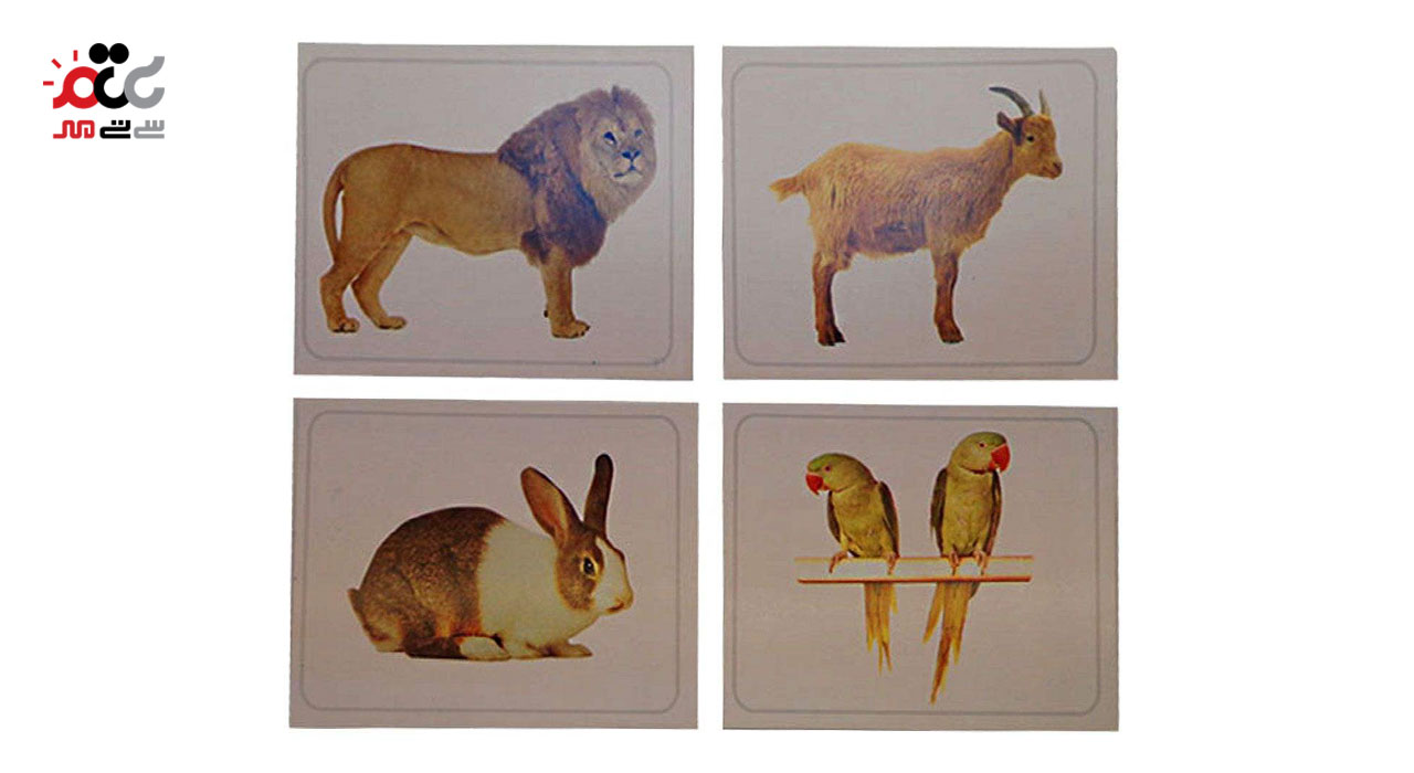 مجموعه کارت های آموزشی دید آموز طرح جانوران کد 01