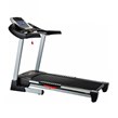 تردمیل شیب برقی تک کاره CF-300S
