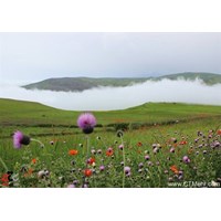منطقه بکر حنا علیشاه سمیرم استان اصفهان