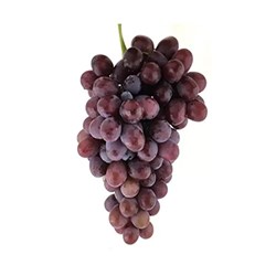 انگور کندری درجه یک - 1 کیلوگرم