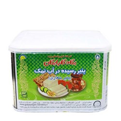 پنیر بلغاری گلپایگان پگاه 800 گرمی
