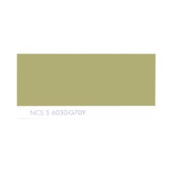 رنگ روغنی سفارشی ساندورا کد NCS S 6030-G70Y 1000 گرمی