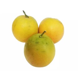 پرتقال جنگلی درجه یک - 1 کیلوگرم