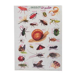 برچسب مدل حشرات کد 51