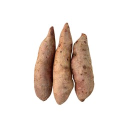 سیب زمینی شیرین درجه یک 1000 گرمی