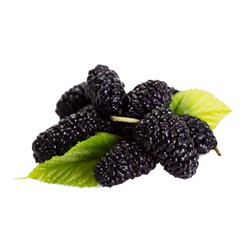 توت سیاه ممتاز 350 گرمی