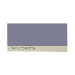 رنگ روغنی سفارشی ساندورا کد NCS S 2030-R70B 1000 گرمی