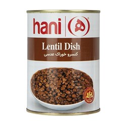 کنسرو خوراک عدسی هانی 380 گرمی