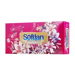دستمال کاغذی جعبه ای سافتلن طرح باغ بهشت 100 برگ دو لایه