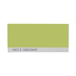 رنگ ترکیبی روغنی ساندورا کد  1000 گرمیNCS S 1040-G60Y