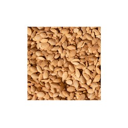 تخمه کدو ایرانی نمکی سوپر 250 گرمی