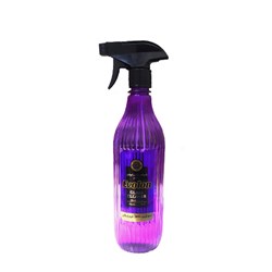 اسپری شیشه پاک کن بنفش ایولون 600 گرمی