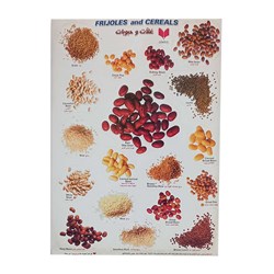 برچسب کودک آموزشی طرح غلات و حبوبات سایز A4 کد 498