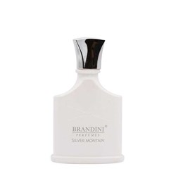 ادکلن مردانه برندینی مدل Silver montain حجم 25 میلی لیتری