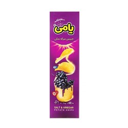 چیپس همسان پذیرایی با طعم سرکه نمکی یامی 90 گرمی