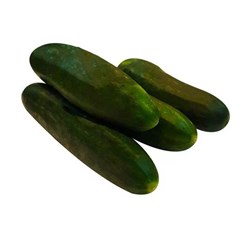 خیار سالادی درجه یک - 1 کیلوگرم