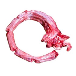 گردن تازه شتر مرغ 1000 گرمی
