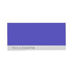 رنگ روغنی سفارشی ساندورا کد NCS S 2060-R70B 1000 گرمی