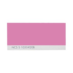 رنگ روغنی سفارشی ساندورا کد NCS S 1050-R20B 1000 گرمی