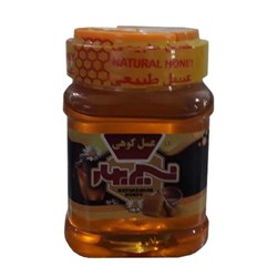 عسل کوهی نسیم بهار 500 گرمی