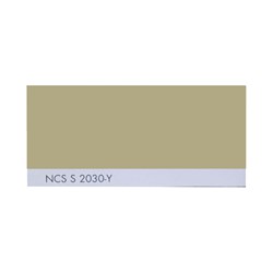 رنگ ترکیبی روغنی ساندورا کد NCS S 2030-Y