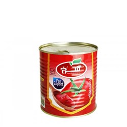 رب گوجه فرنگی گلرخ 800 گرمی