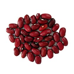 لوبیا قرمز بومی خشکبار نقوی فله