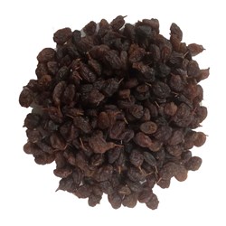 مویز بومی ارگانیک خشکبار نقوی فله