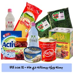 بسته ویژه  بیستانه دیماه کد Bistane10 - شامل 14 محصول